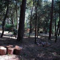 Дом в Испании, Каталония, Валлдорейкс, 403 кв.м.