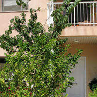 Townhouse in Spain, Catalunya, Begur, 150 sq.m.