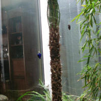 Townhouse in Spain, Catalunya, Begur, 150 sq.m.