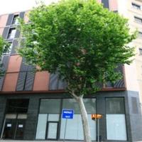 Другая коммерческая недвижимость в Испании, Каталония, Монтбау, 191 кв.м.