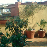 Apartment in Spain, Catalunya, Barcelona, 90 sq.m.