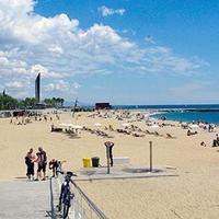 Апартаменты в Испании, Каталония, Барселона, 153 кв.м.