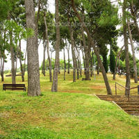 Other in Spain, Catalunya, Barcelona, 941 sq.m.