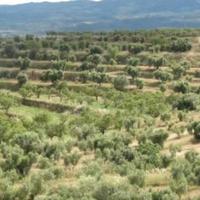 Производство в Испании, Каталония, Камбрилс, 65535 кв.м.