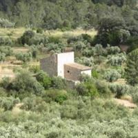 Производство в Испании, Каталония, Камбрилс, 65535 кв.м.