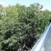 Flat in Spain, Catalunya, Barcelona, 80 sq.m.