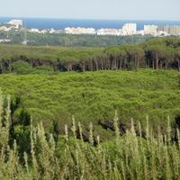 House in Spain, Catalunya, Girona, 750 sq.m.