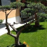 Квартира в Испании, Каталония, Багур, 67 кв.м.