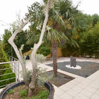 House in Spain, Catalunya, Begur, 455 sq.m.