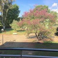 Квартира в Испании, Каталония, Барселона, 125 кв.м.