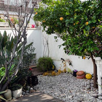 Таунхаус в Испании, Каталония, Багур, 204 кв.м.