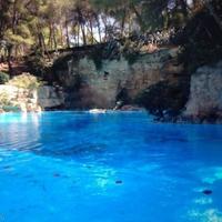 Земельный участок в Испании, Валенсия