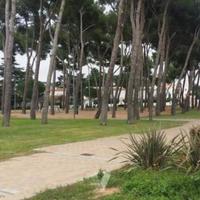 Flat in Spain, Catalunya, Girona, 92 sq.m.