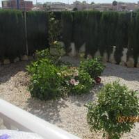 Bungalow in Spain, Comunitat Valenciana, Alicante, 60 sq.m.