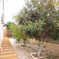 Villa in Spain, Comunitat Valenciana, Alicante, 210 sq.m.