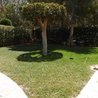 House in Spain, Comunitat Valenciana, Alicante, 160 sq.m.