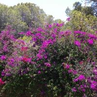 Таунхаус в Испании, Валенсия, Аликанте, 90 кв.м.