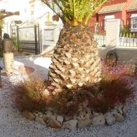 House in Spain, Comunitat Valenciana, Alicante, 120 sq.m.