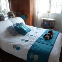 Вилла в Испании, Валенсия, Аликанте, 85 кв.м.