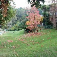 Дом в Испании, Каталония, Багур, 377 кв.м.