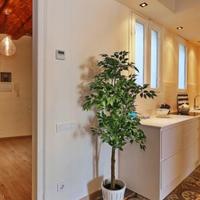 Квартира в Испании, Каталония, Барселона, 137 кв.м.