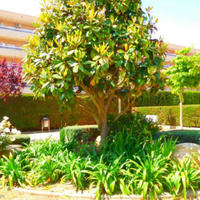 Квартира в Испании, Каталония, Жирона, 81 кв.м.