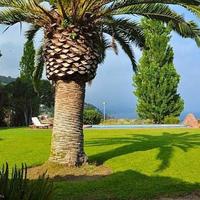 Villa in Spain, Catalunya, Girona, 400 sq.m.