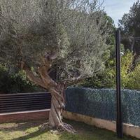 House in Spain, Catalunya, Begur, 310 sq.m.