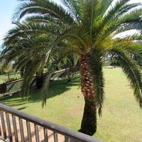 House at the first line of the sea / lake in Spain, Catalunya, Girona, 500 sq.m.