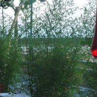 Другая коммерческая недвижимость на первой линии моря/озера в Испании, Каталония, Багур, 226 кв.м.