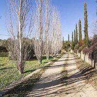 Вилла в Испании, Каталония, Багур, 1500 кв.м.