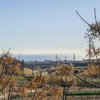 Вилла в Испании, Каталония, Багур, 1500 кв.м.