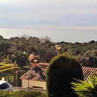 Дом в Испании, Каталония, Жирона, 160 кв.м.