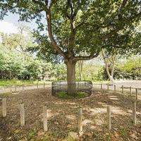 Таунхаус в Испании, Каталония, Багур, 270 кв.м.