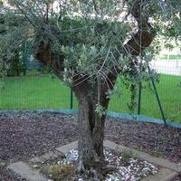 Квартира на второй линии моря/озера в Испании, Каталония, Багур, 125 кв.м.