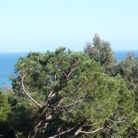 Квартира в Испании, Каталония, Жирона, 80 кв.м.