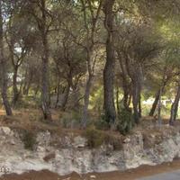 Land plot in Spain, Comunitat Valenciana, Alicante