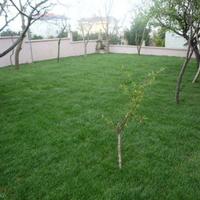 Вилла в Турции, 300 кв.м.