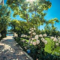 Flat in Bulgaria, Sunny Beach, 68 sq.m.