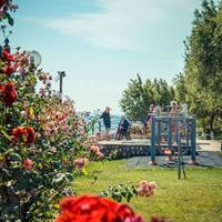 Flat in Bulgaria, Sunny Beach, 44 sq.m.