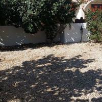 Villa in Republic of Cyprus, Protaras, 90 sq.m.