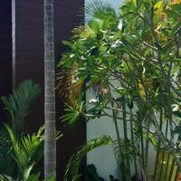 Flat in Thailand, Phatthaya, 32 sq.m.