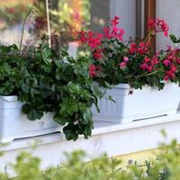 Flat in Bulgaria, Elkhovo, 44 sq.m.