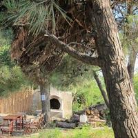 Flat in Bulgaria, Burgas Province, Elenite, 26 sq.m.