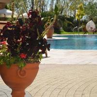 Flat in Bulgaria, Sunny Beach, 31 sq.m.