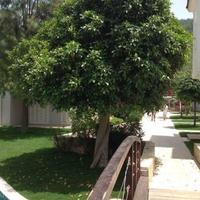 Квартира в Турции, 117 кв.м.